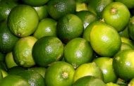 লেবুর বিভিন্ন উপকারি গুন