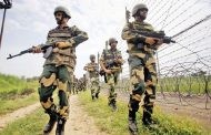 বিএসএফ সদস্যকে কুপিয়ে জখম
