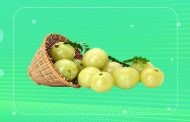 উপকার করে যেসকল রোগের আমলকি
