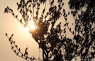২০২১ সালের শেষ সূর্যাস্ত আজই