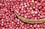 পেঁয়াজ আমদানি বন্ধের পরিকল্পনা নেই