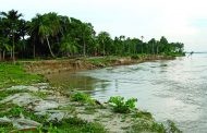 তিস্তাপাড়ে পানিতে ভাসছে হাজারো পরিবার