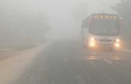 তাপমাত্রা ১৫ ডিগ্রি সেলসিয়াস, ঘন কুয়াশার চাদরে পঞ্চগড়ের জনপদ