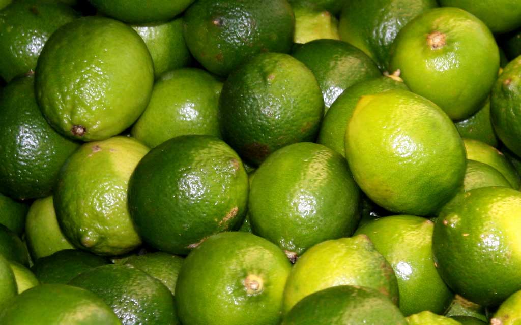 লেবুর বিভিন্ন উপকারি গুন