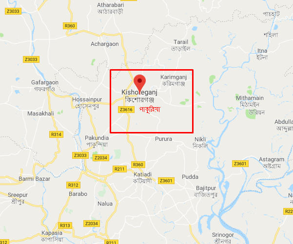 কিশোরগঞ্জের পাকুন্দিয়ায় ট্রাকের ধাক্কায় ৪ অটোযাত্রী নিহত