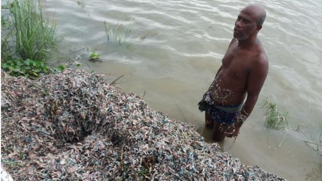 বগুড়ায় বিলের পাশ থেকে কয়েক বস্তা ছেঁড়া টাকা উদ্ধার