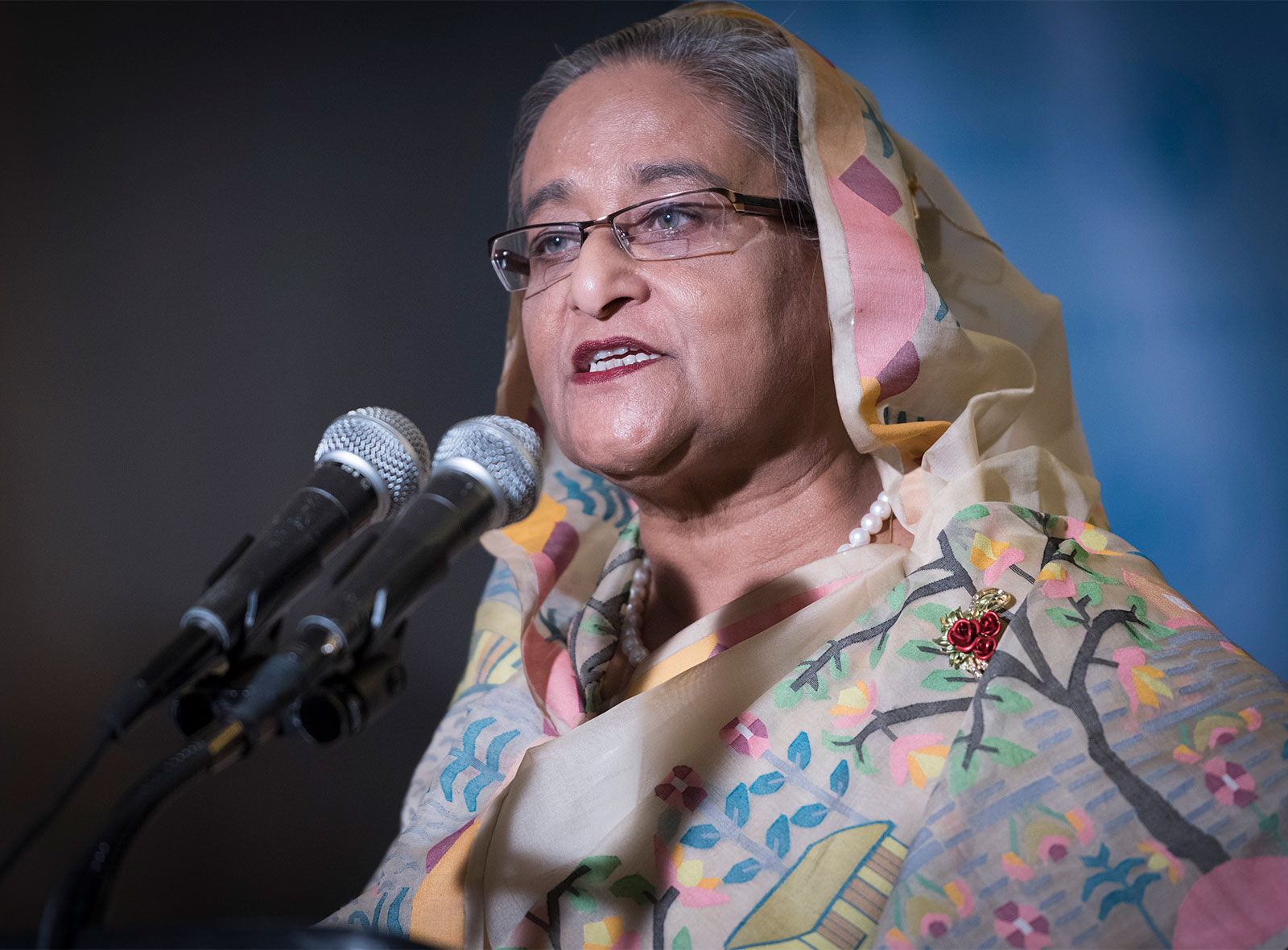 প্রধানমন্ত্রীর জন্মদিনের উপহার হিসাবে দেশবাসী পাবে ৮০ লাখ  টিকা