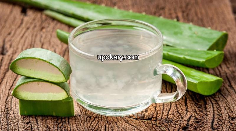 ওজন কমাতে পারে অ্যালোভেরার জুস