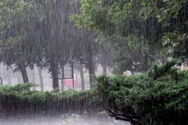 সারাদেশে দমকা হাওয়া ও বজ্রপাত সহ বৃষ্টির আভাস
