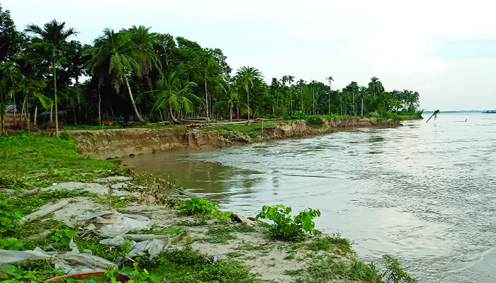 তিস্তাপাড়ে পানিতে ভাসছে হাজারো পরিবার