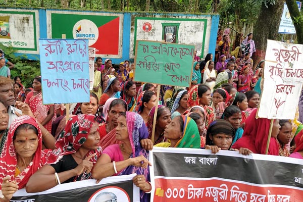 অনির্দিষ্টকালের ধর্মঘটে চা শ্রমিকরা