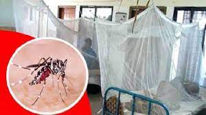 ডেঙ্গুতে এবার সর্বোচ্চ মৃত্যু